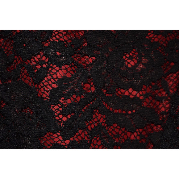 JILL STUART $565 Sleeveless Lace Open Back A-line Dress Black Red Size 2 - Picture 3 of 4
